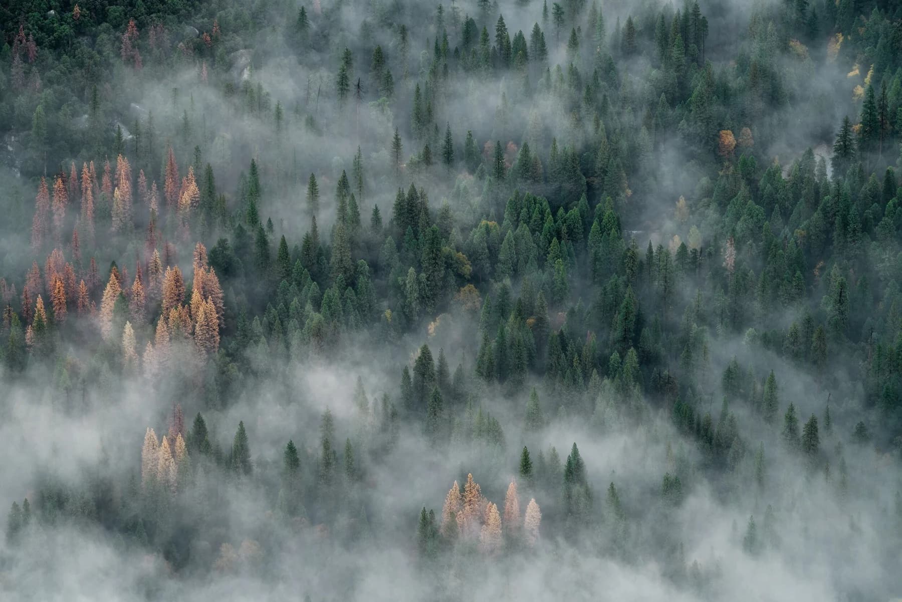 Preparing for Wildfire Smoke