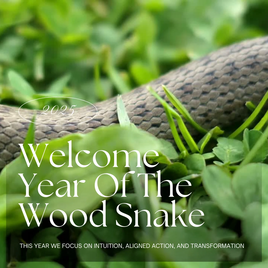 Year of The Wood Snake