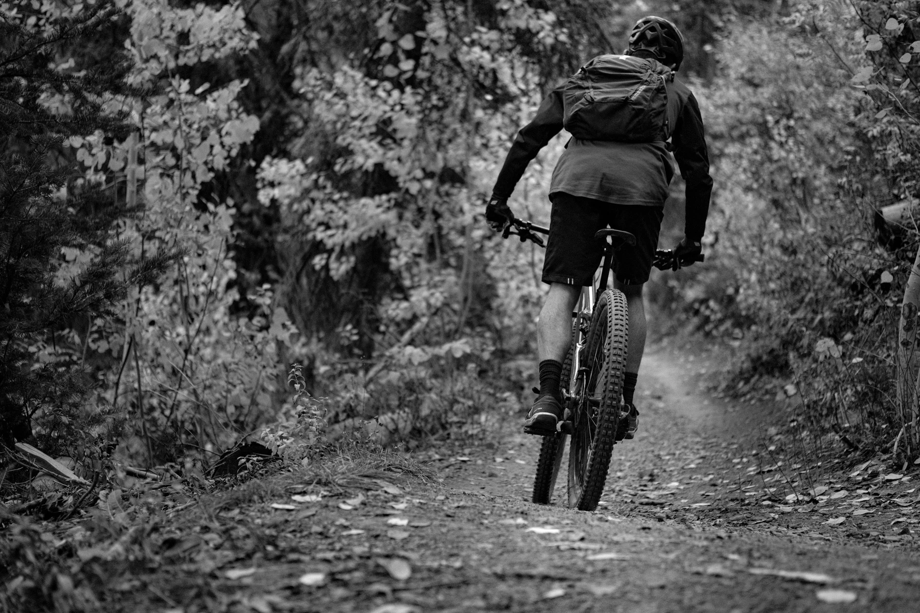 Outdoor activity