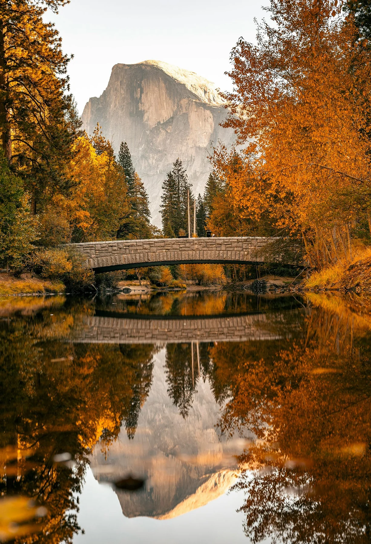 Half Dome rises above Yosemite Valley in autumn, reflected in the still Merced River beneath a wooden bridge, with golden trees lining the water. Half Dome rises above Yosemite Valley in autumn, reflected in the still Merced River beneath a wooden bridge, with golden trees lining the water.